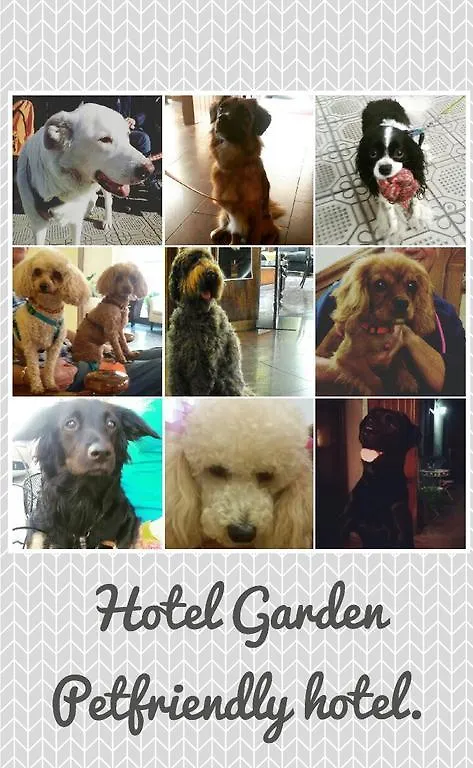 Hotel Garden Viareggio Italy